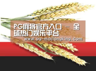 PG麻将官方入口 - 全球热门娱乐平台