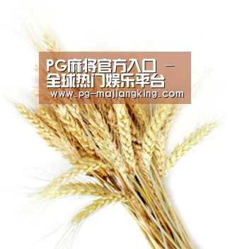 PG麻将官方入口 - 全球热门娱乐平台