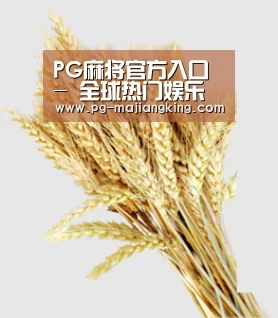 PG麻将官方入口 - 全球热门娱乐平台